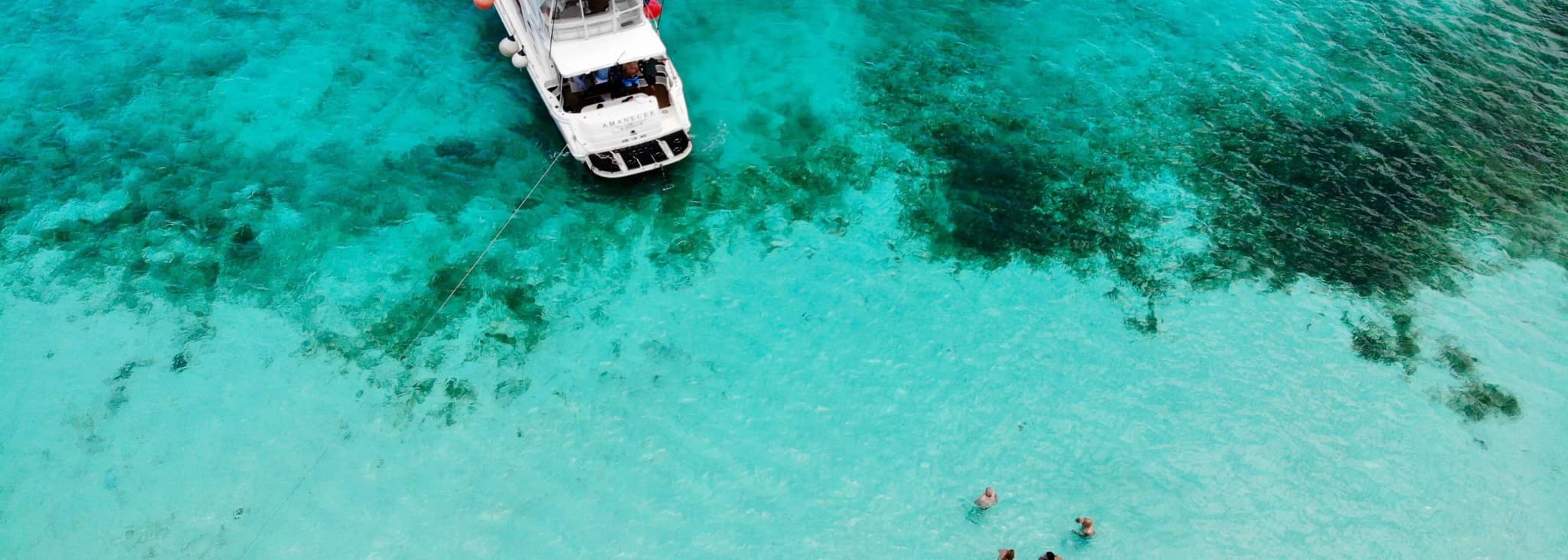 Términos y condiciones