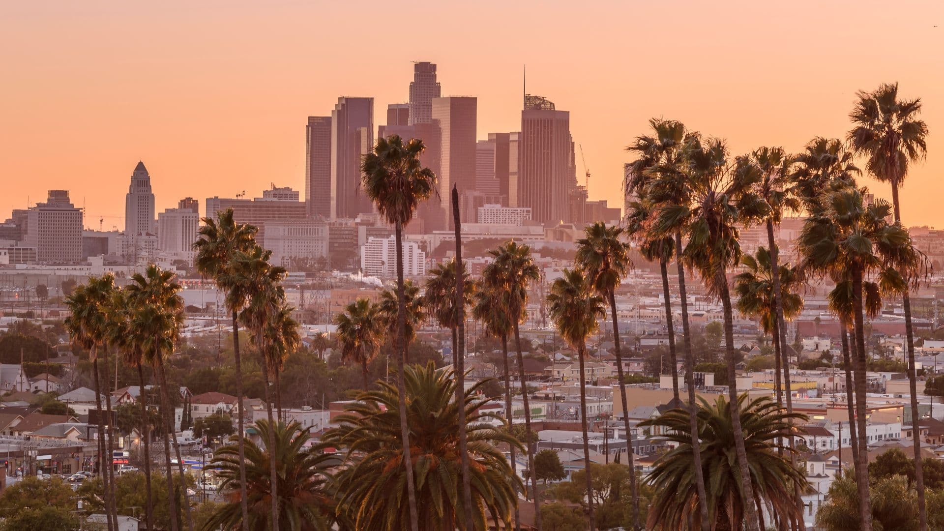 West & New York Costa Oeste y NYC