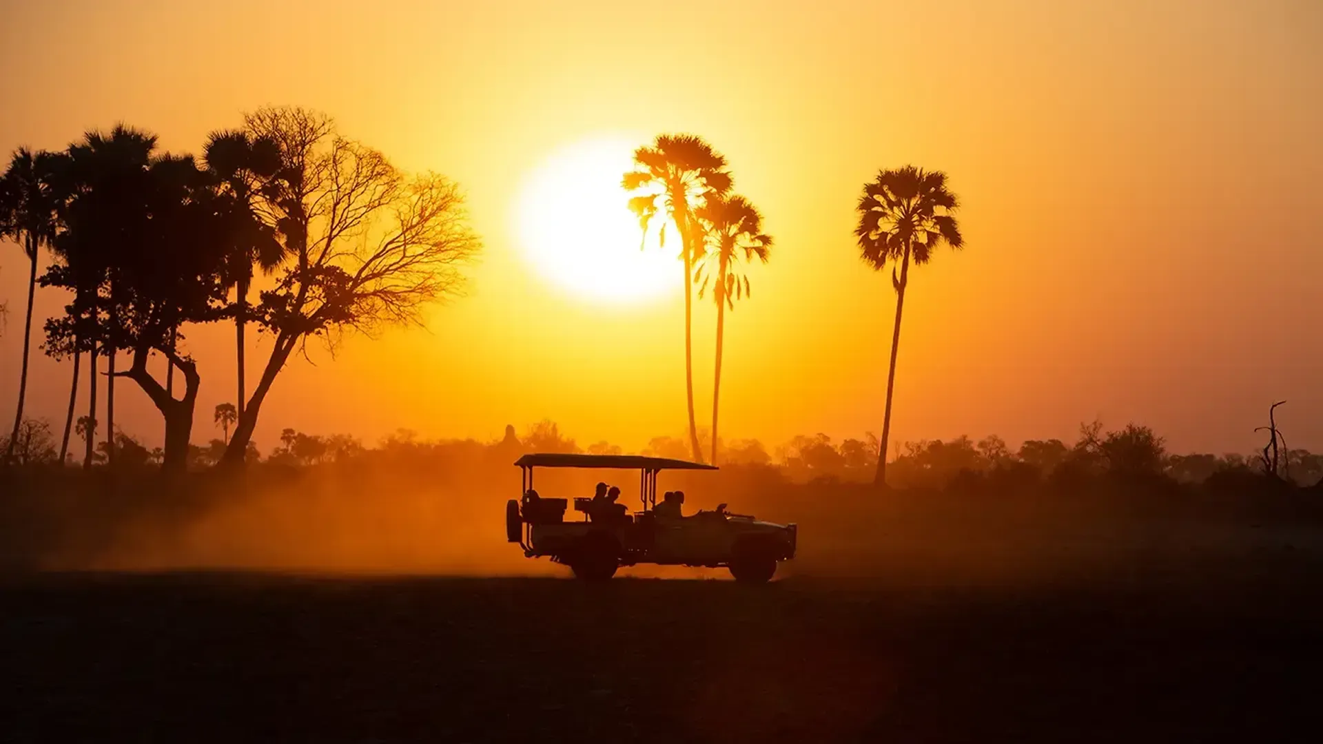 Safari en África