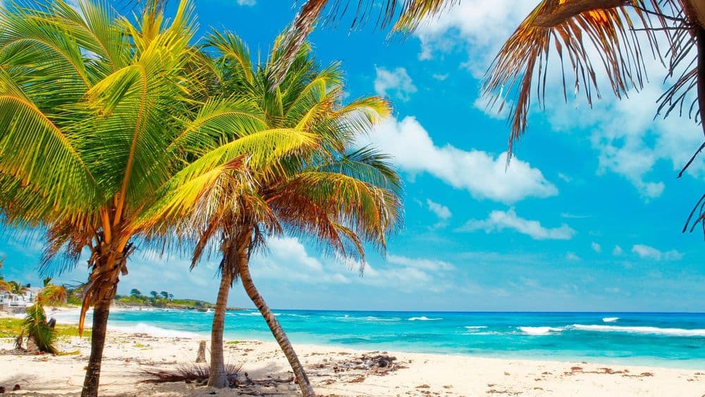Verano en Jamaica