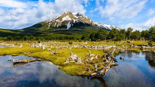 Parque Nacional Tierra del Fuego 