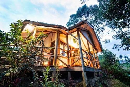  Gorilla Safari Lodge