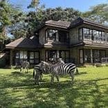 Lake Naivasha Simba Lodge