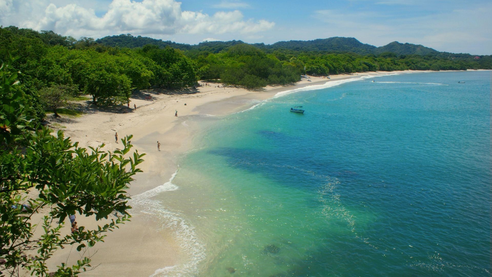 Guanacaste.jpg