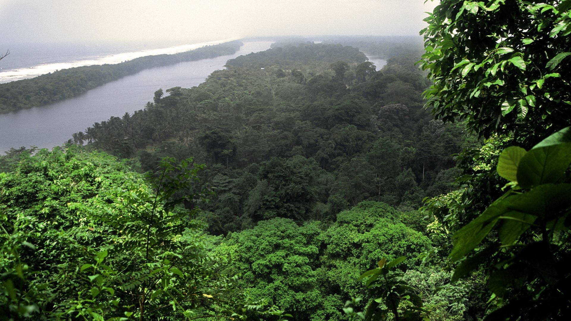 Tortuguero.jpg