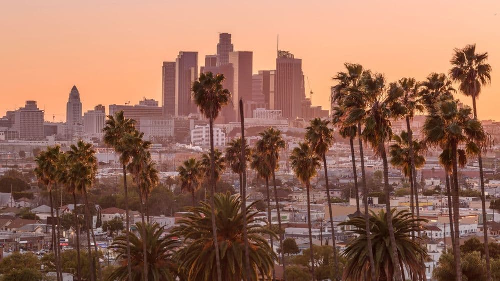 West & New York Costa Oeste y NYC